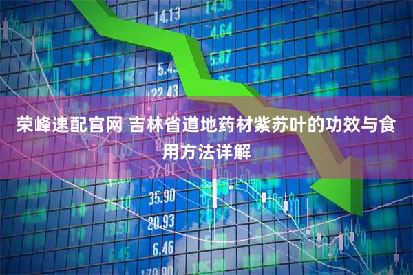 荣峰速配官网 吉林省道地药材紫苏叶的功效与食用方法详解