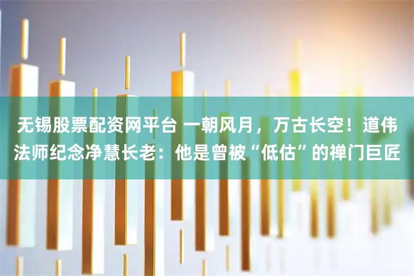 无锡股票配资网平台 一朝风月，万古长空！道伟法师纪念净慧长老：他是曾被“低估”的禅门巨匠